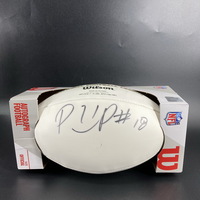 Dolphins - Preston Williams Signed Panel Ball