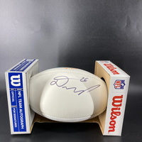 Dolphins - Damian Williams Signed Panel Ball With Dolphins Logo