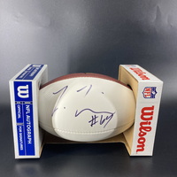 Dolphins - Laremy Tunsil Signed Panel Ball