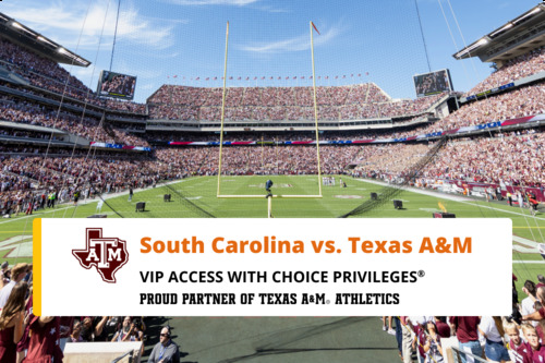 Photo of South Carolina vs. Texas A&M | November 15, 2025 (2 VIP passes)