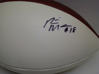 DOLPHINS - RISHARD MATTHEWS SIGNED PANEL BALL