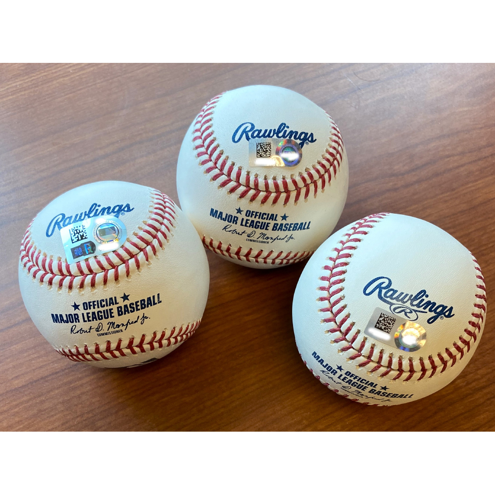 1968 Detroit Tigers Autographed Baseball Bundle: Willie Horton