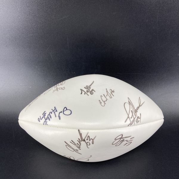 NFL - Cowboys Super Bowl XXXVI Commemorative Panel Ball Signed By Emmitt...