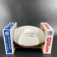 Panthers - Robby Anderson Signed Panel Ball With Panthers Logo