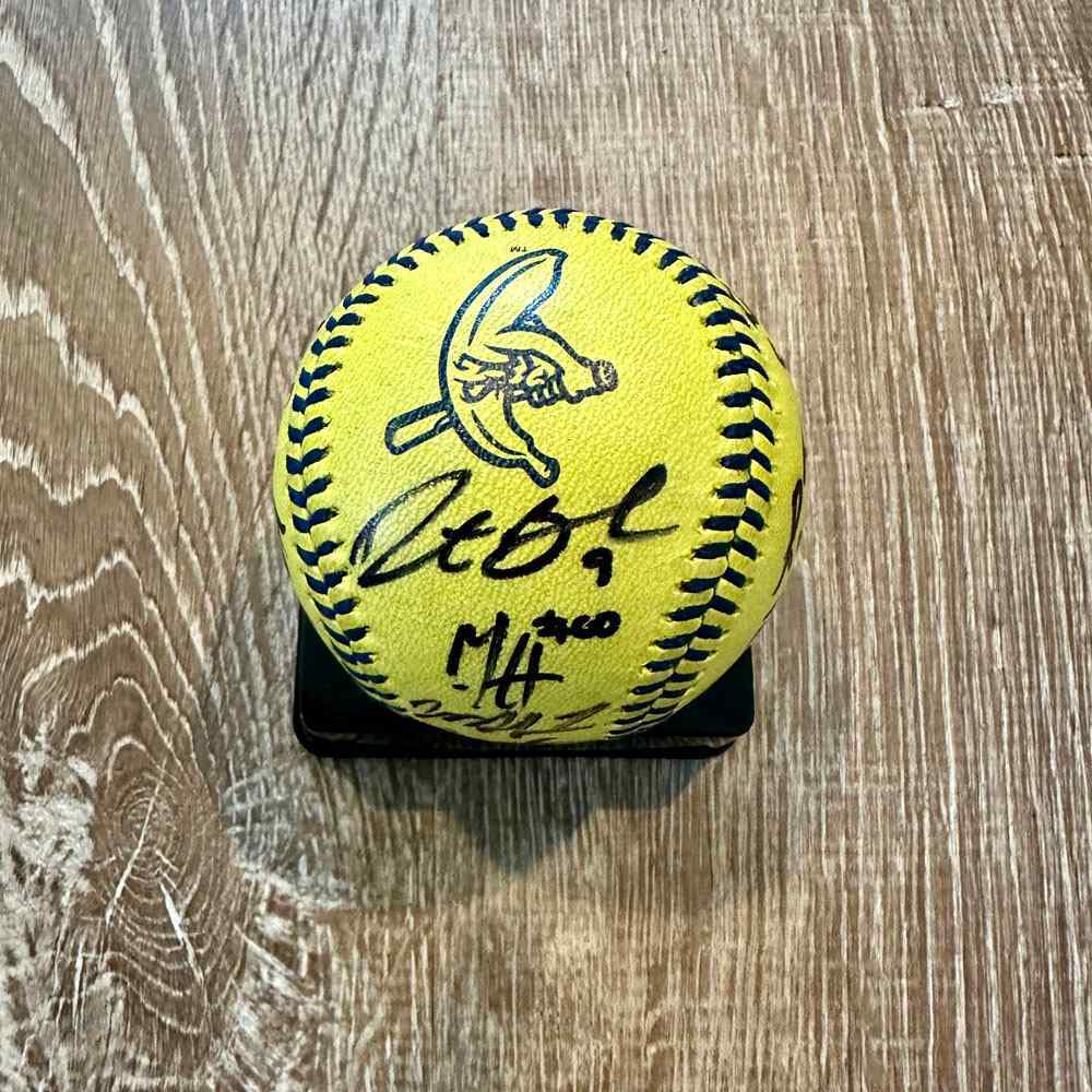 UMPS CARE AUCTION Savannah Bananas Umpire Signed Baseball MLB Auctions