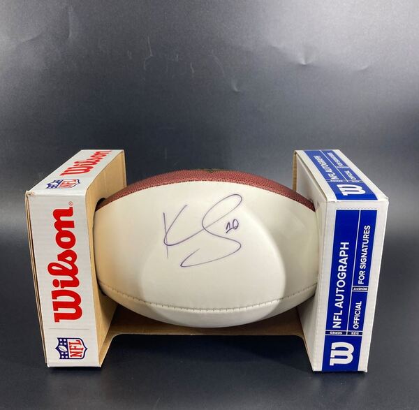 Dolphins - Kenny Stills Signed Panel Ball