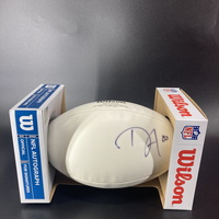 Dolphins - Danny Amendola Signed Panel Ball