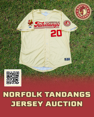 Game Worn Autographed Norfolk Tandangs Jersey #27 Size 48