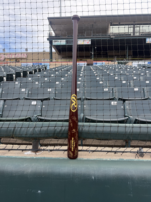 2019 Bowie Baysox Team-Autographed Bat