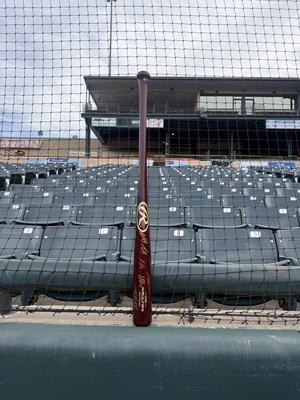 2015 Bowie Baysox Team-Autographed Bat