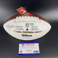 Dolphins - Jesse Davis Signed Panel Ball