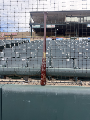 2011 Bowie Baysox Team-Autographed Bat