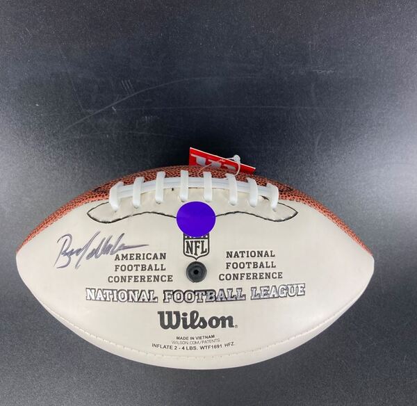 Titans - Brian Callahan Signed Mini Panel Ball with Colts Logo (Not Auth...