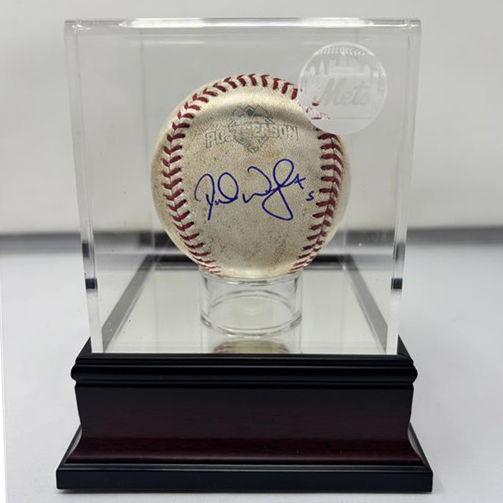 希少本　Worlds and Windows  Gilbert & e PPF, Ceramic Coating, Window Tinting, and Detailing in