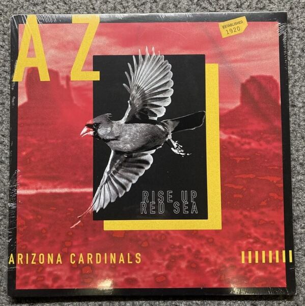 2021 Draft Vinyl - Cardinals