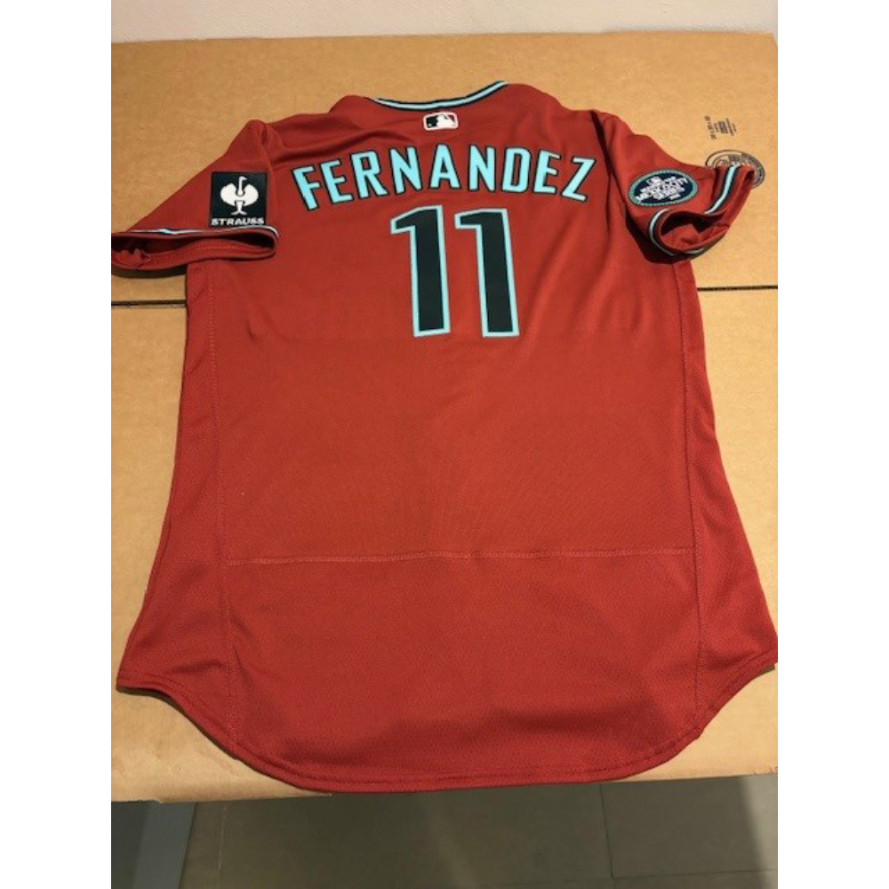 baseball100様　確認用 2026 Mexico Series - Game-Used Jersey - Jose Fernandez - 4/26/26