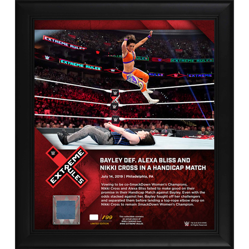 Bayley Framed 15'' x 17'' 2019 Extreme Rules Collage with Piece of Event-Used Canvas- #1 of a Limited Edition of 199