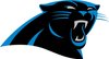 Panthers Week 11 Ticket Package - 2 Tickets + Greg Olsen Game Issued Pro Bowl Practice Shirt Size XL - Game Date is 11/17 - Ticket Location is Section 338 Row 7