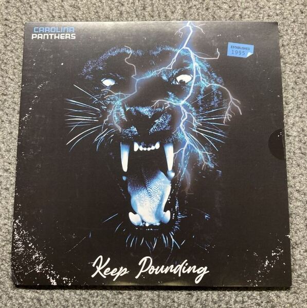 2021 Draft Vinyl - Panthers