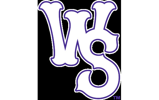 Winston-Salem Dash