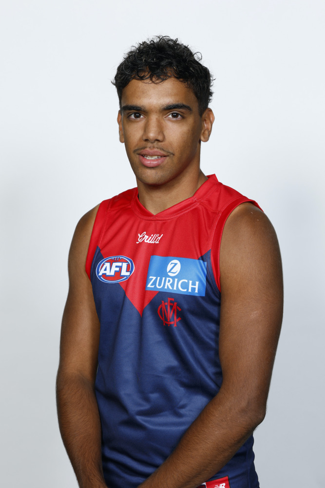 2025 Melbourne Demons Jim's Game Guernsey - Ricky Mentha #39