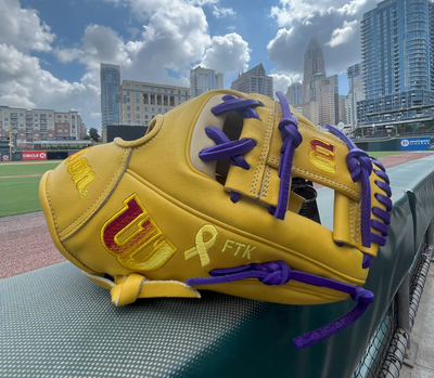 Vs. Cancer Glove