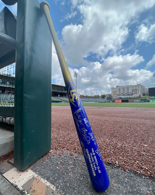 Team Signed Bat
