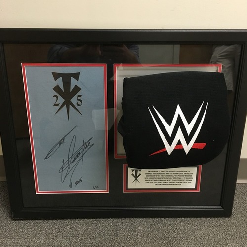 Undertaker SIGNED Ring Canvas & Turnbuckle Frame (Limited Edition) WWE Auction