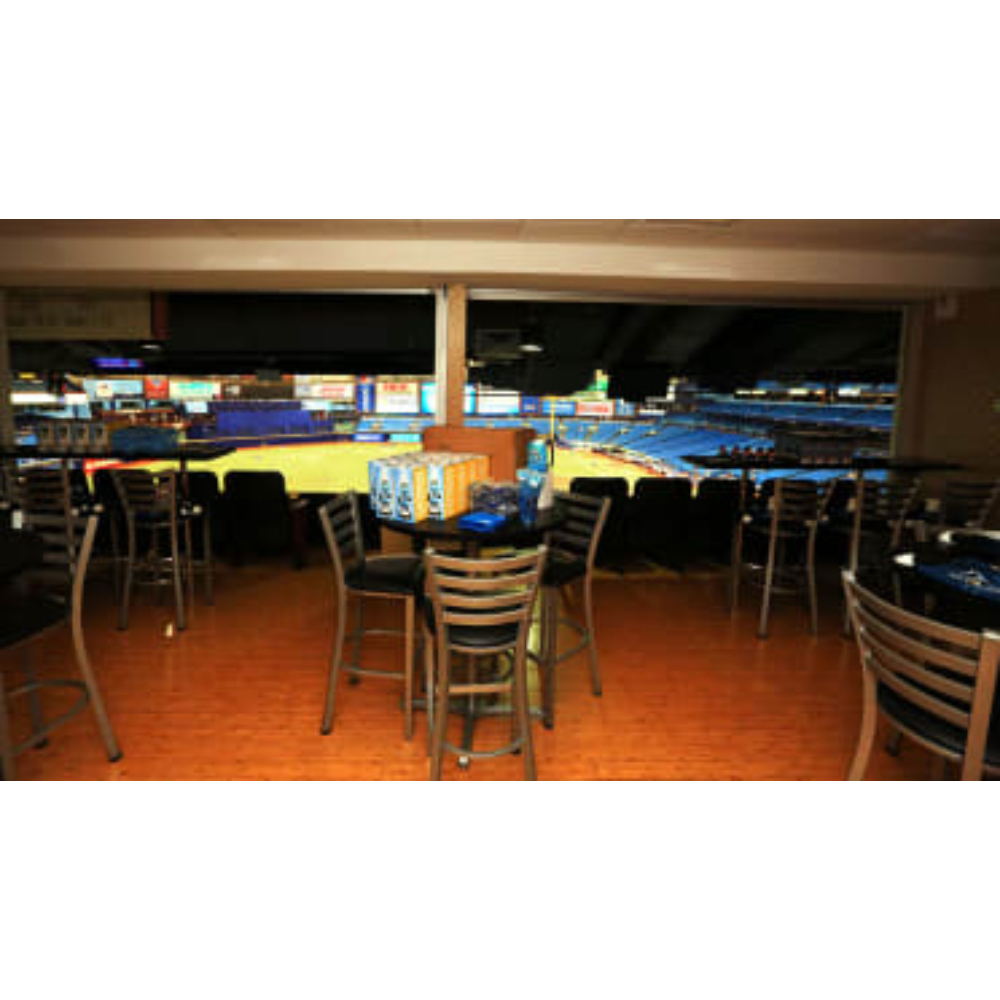 Rays Baseball Foundation 2022 Suite Experience (See Description for