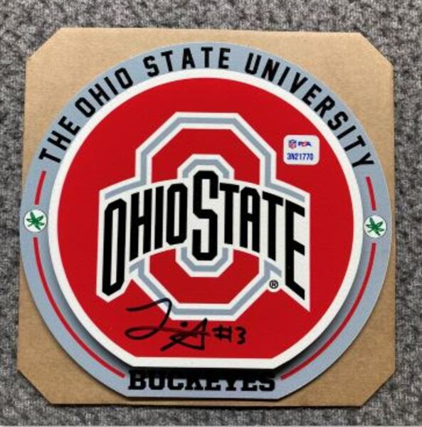 NFL - Ohio State Lorenzo Styles Signed 3D Metal Wall Art