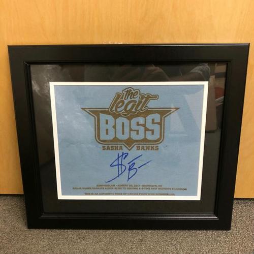 Sasha Banks SIGNED SummerSlam 2017 Ring Canvas Plaque