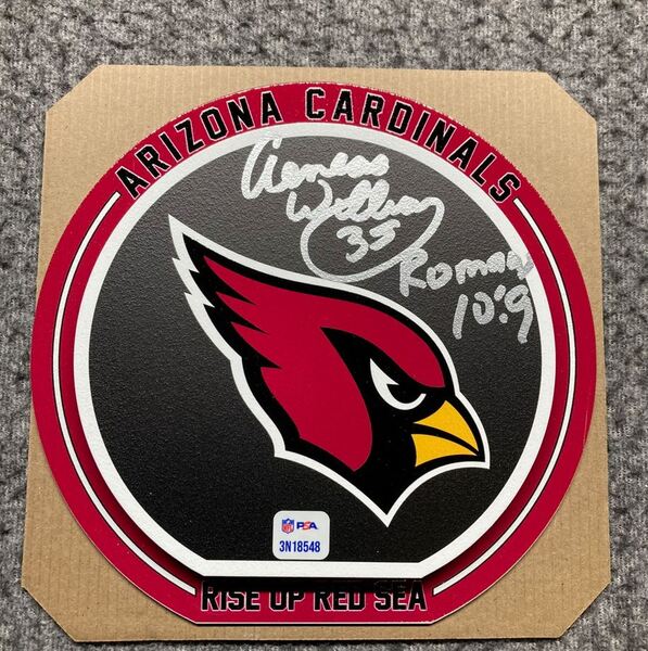 HOF - Cardinals Aeneas Williams Signed 3D Metal Wall Art (8x8)