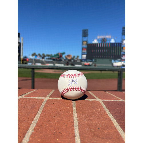 Photo of Giants Community Fund Memorabilia Auction: Logan Webb Autographed Baseball
