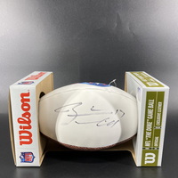 Titans - Ryan Tannehill Signed Panel Football With Titans Logo