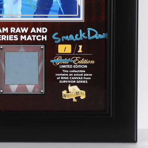 Team Smackdown SIGNED Custom "Smackdown" Edition Plaque (1 of 1) WWE