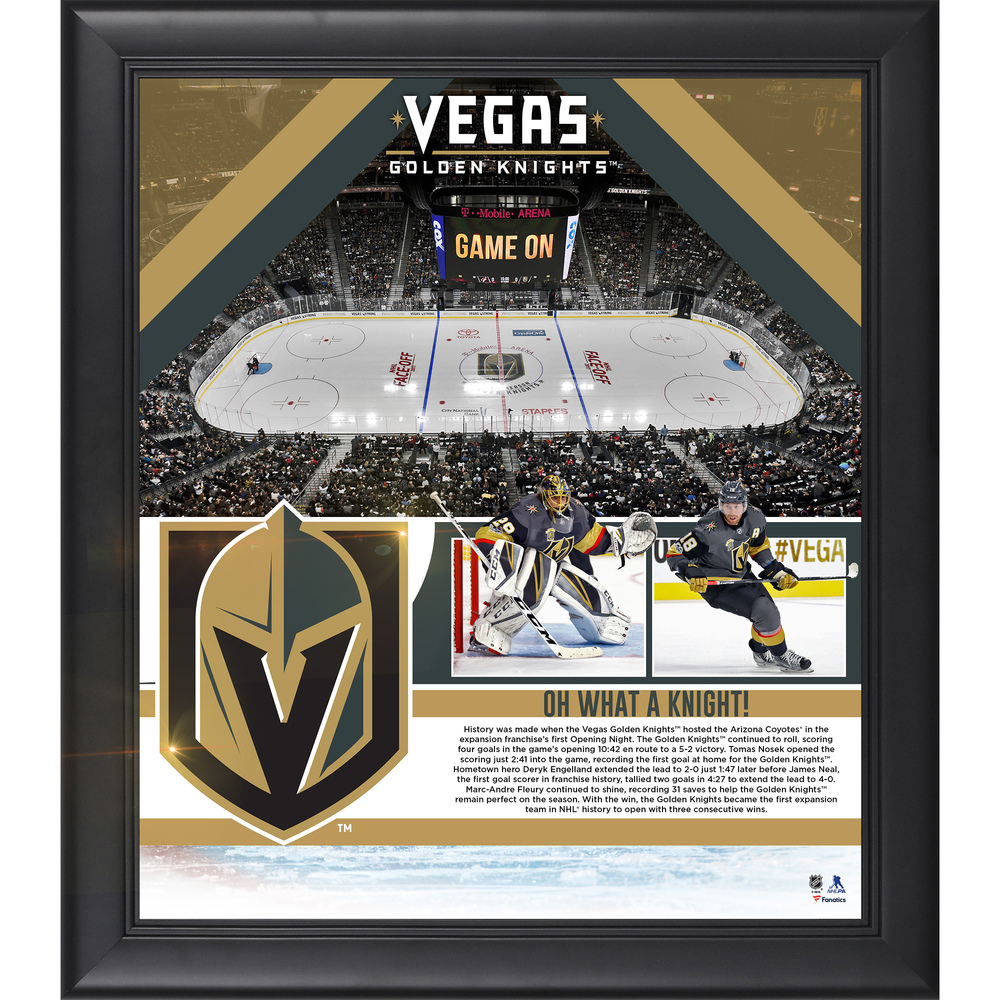 Vegas Golden Knights Framed 15