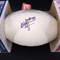 Dolphins - William Hayes Signed Panel Ball