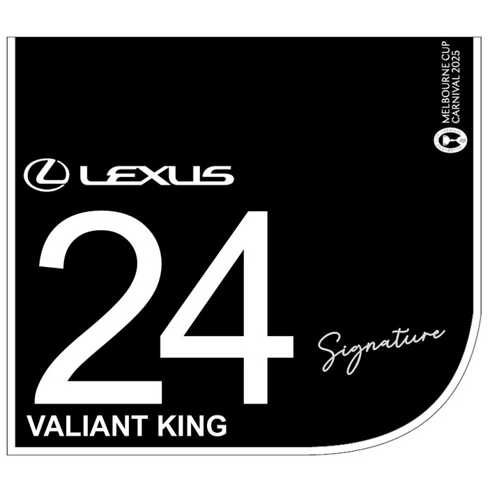 Photo of #24 Valiant King - Jye McNeil Signed Lexus Melbourne Cup Saddlecloth