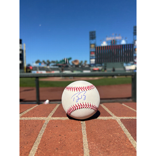 Photo of Giants Community Fund Memorabilia Auction: Buster Posey Autographed Baseball