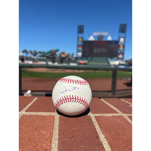 Photo of Giants Community Fund Memorabilia Auction: Daniel Susac Autographed Baseball