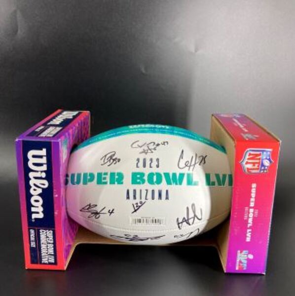 NFL - Multi-Signed Panel Ball With Over 17 Signatures Includng Pacheco, ...