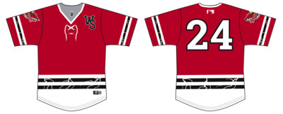 #25 RHP Connor Housley Winston-Salem Dash/Carolina Thunderbirds Hockey Night Jersey