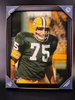 Blank - Packers Forrest Gregg Picture With Frame (11x14)