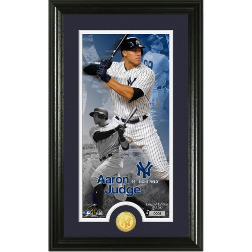 judge baseball auction