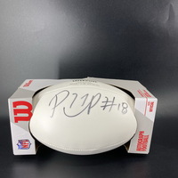 Dolphins - Preston Williams Signed Panel Ball
