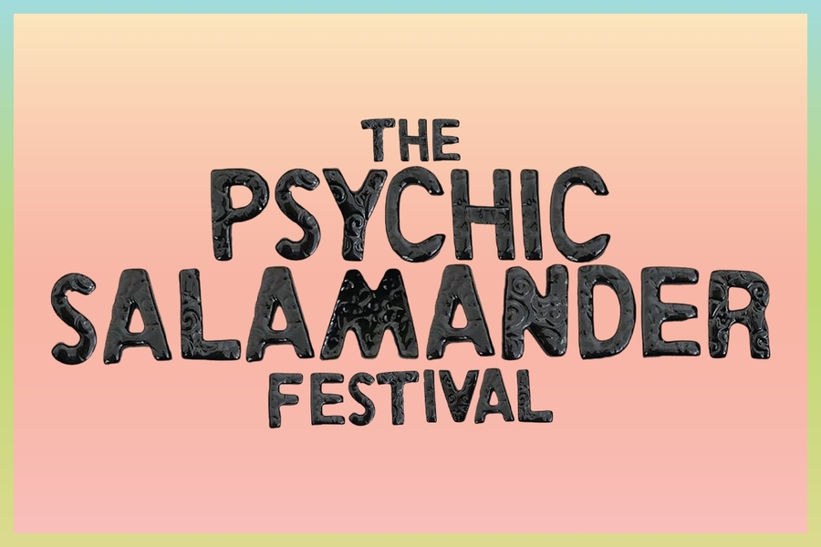 Photo of The Psychic Salamander: VIP Weekend Festival Getaway
