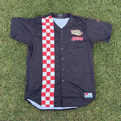 #45 Douglas Orellana Binghamton Spiedies Jersey