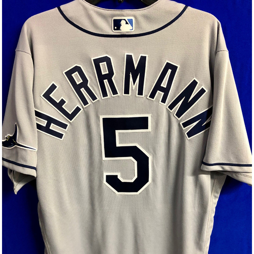 Photo of Team Issued 2020 Jersey: Herrmann