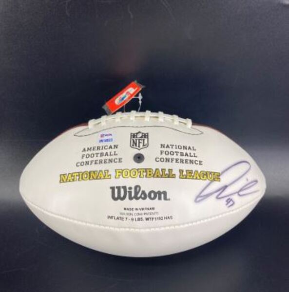 Dolphins - Kiko Alonso Signed Panel Ball