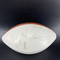 NFL - Packers Multi Signed Panel Ball With Super Bowl 36 Logo With Over ...